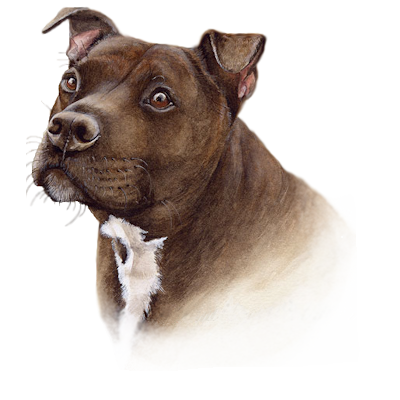 sticker_11944551_32456432