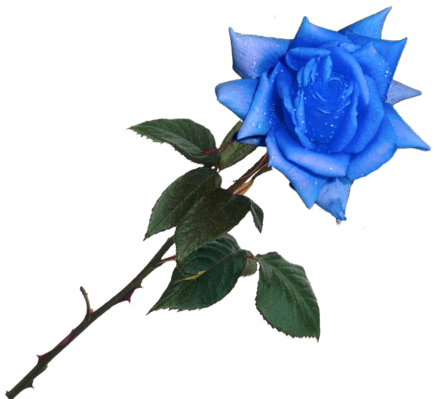sticker_18710580_37145189
