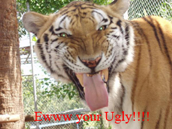 sticker_2175267_32887374