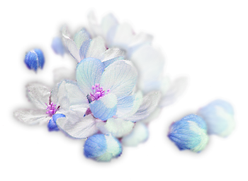 sticker_11914440_36352772