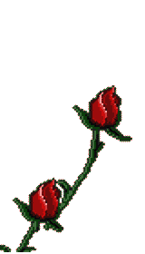sticker_25477198_39515119