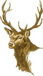 sticker_2487428_8712577