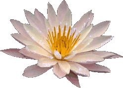 sticker_23052402_32285322