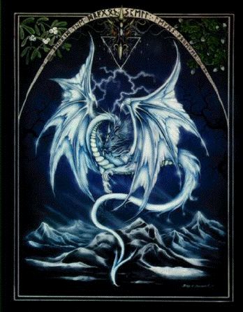 sticker_12038122_28364628