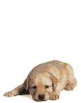 sticker_17099730_26869860