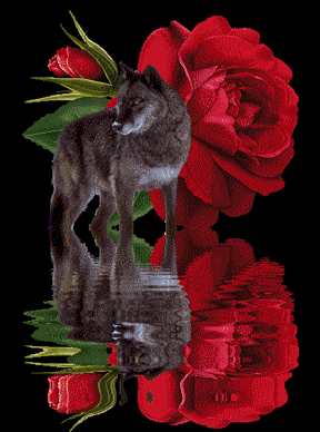 sticker_9819932_29438890