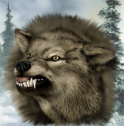 sticker_11930168_27757380
