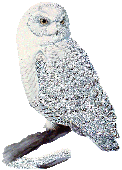 sticker_17642517_33267712