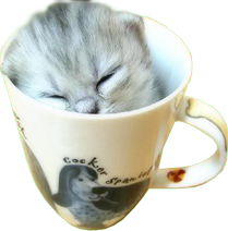 sticker_12072358_20853665