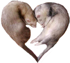 sticker_22576288_31520115