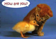 sticker_2346752_6888738