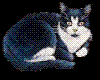 sticker_22526562_31554604