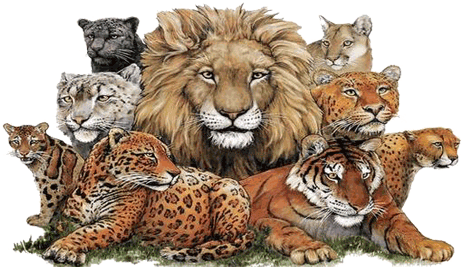 sticker_166449_1948778