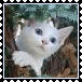 sticker_16735243_38575645