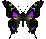 sticker_12530775_40388518