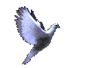 sticker_17324506_31587954