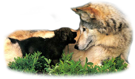 sticker_15445962_21652804