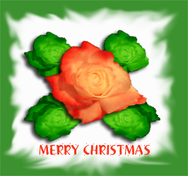 sticker_19509631_27204556