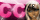 http://userimages02.imvu.com/userdata/1373936/badge_2a961b91cdb18372a4a5c91d3949e28b.gif