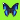 Pretty Blue butterfly