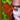 mAd HaTtEr 3