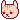 busbunny
