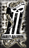 HARLEY DAVIDSON DARK CUSTOM