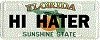 HI HATER PLATE