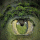 terre oeil-earth eye