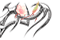 Ypu