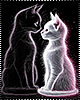 Arlet Yim and Yang Lovers Cats