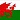 Welsh Flag 2