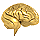 Golden brain