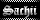 Sachii Name Badge