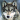 T Wolf 2013-07-17 14:26:46