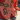 blank badge 1 2021-10-22 09:52:02