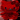 blank badge 2 2013-07-17 14:30:04