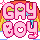 GAY BOY