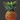 blank badge 1 2013-07-17 14:33:07